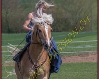1AMAZONE- 0389